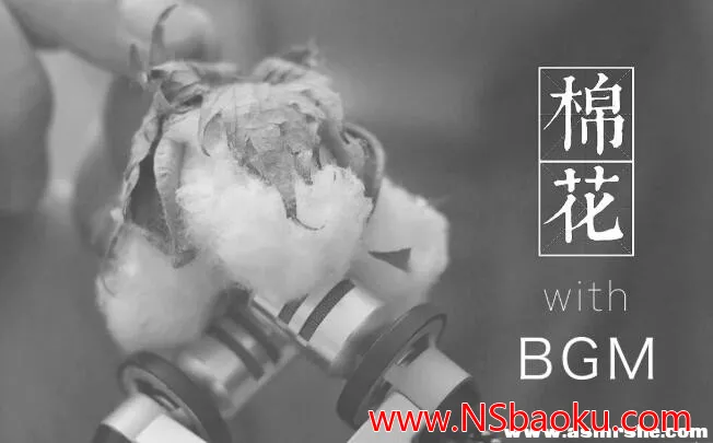 纯净舒缓的棉花采耳 ASMR 视频