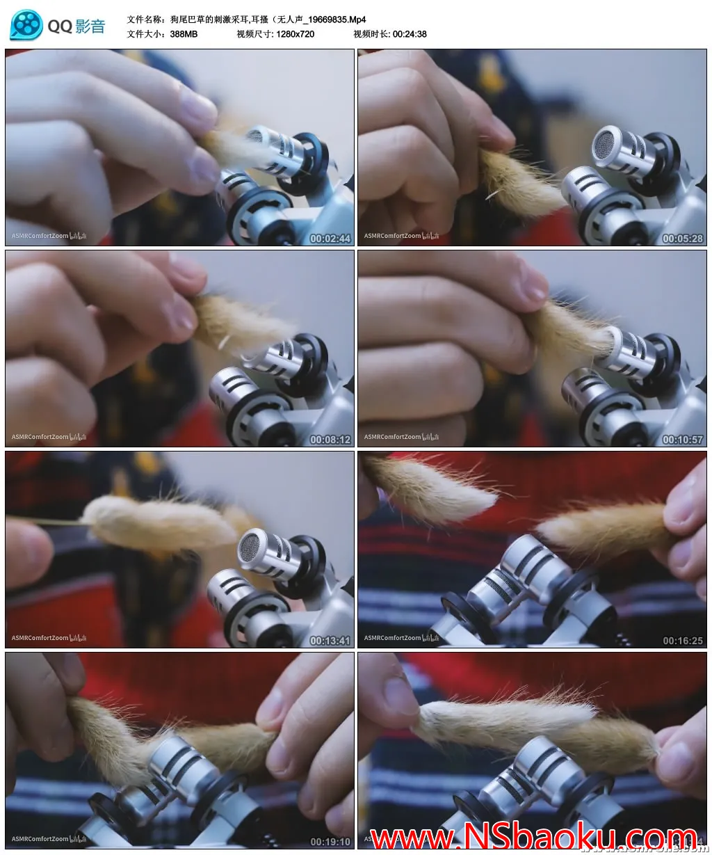 沉浸式狗尾巴草采耳ASMR,纾解压力放松身心