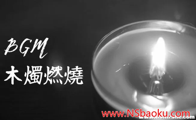 沉浸式助眠音声 —— 燃烧的木芯蜡烛与舒缓音乐交织的梦境之旅-男士宝库