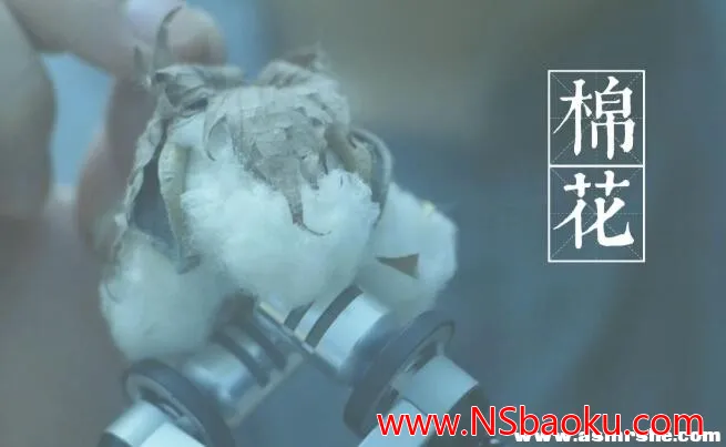 沉浸式耳搔与轻柔呼吸，打造宁静助眠视听盛宴-男士宝库