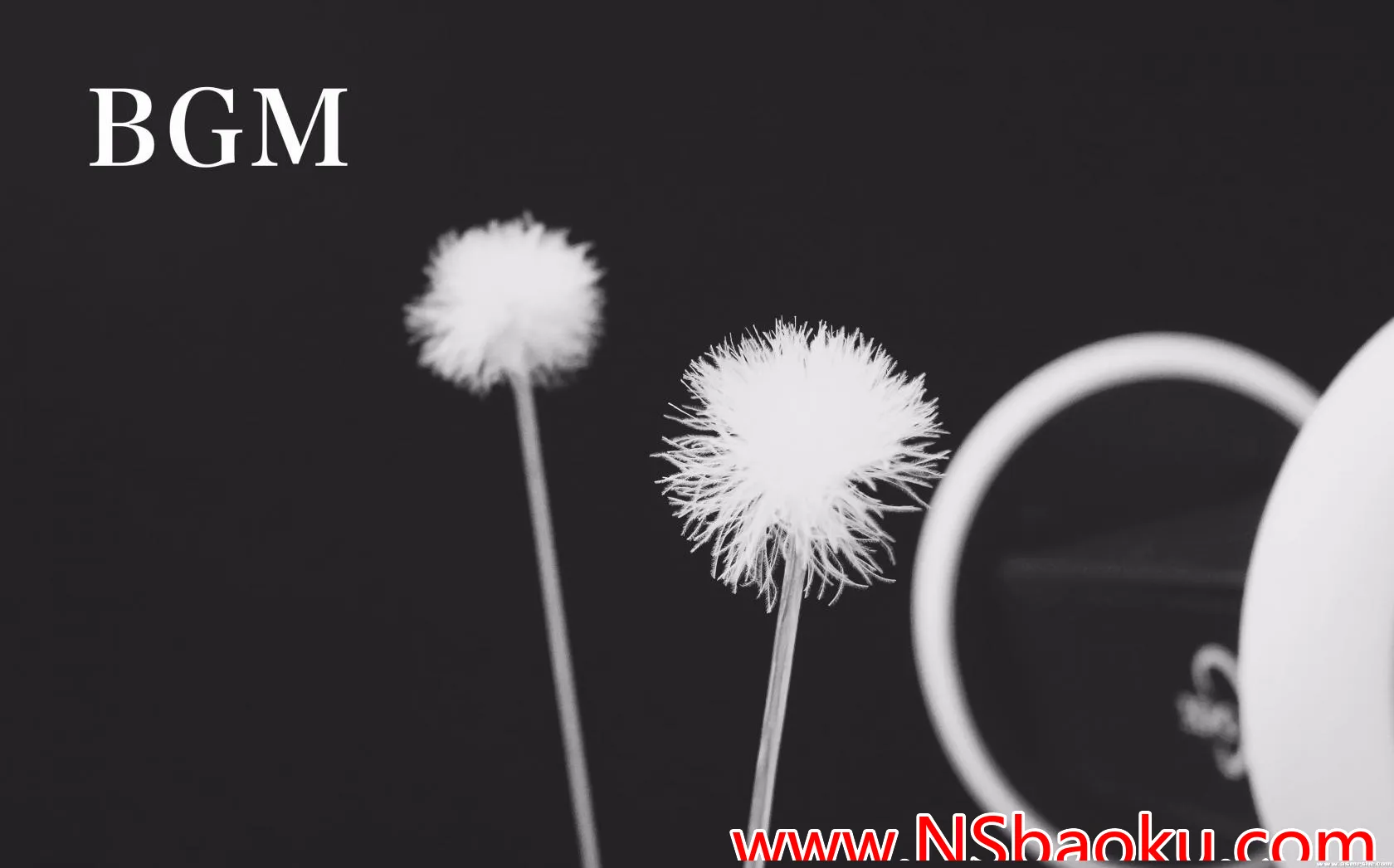 沉浸式梵天音 ASMR 舒缓体验：鹅毛棒采耳静谧之旅-男士宝库