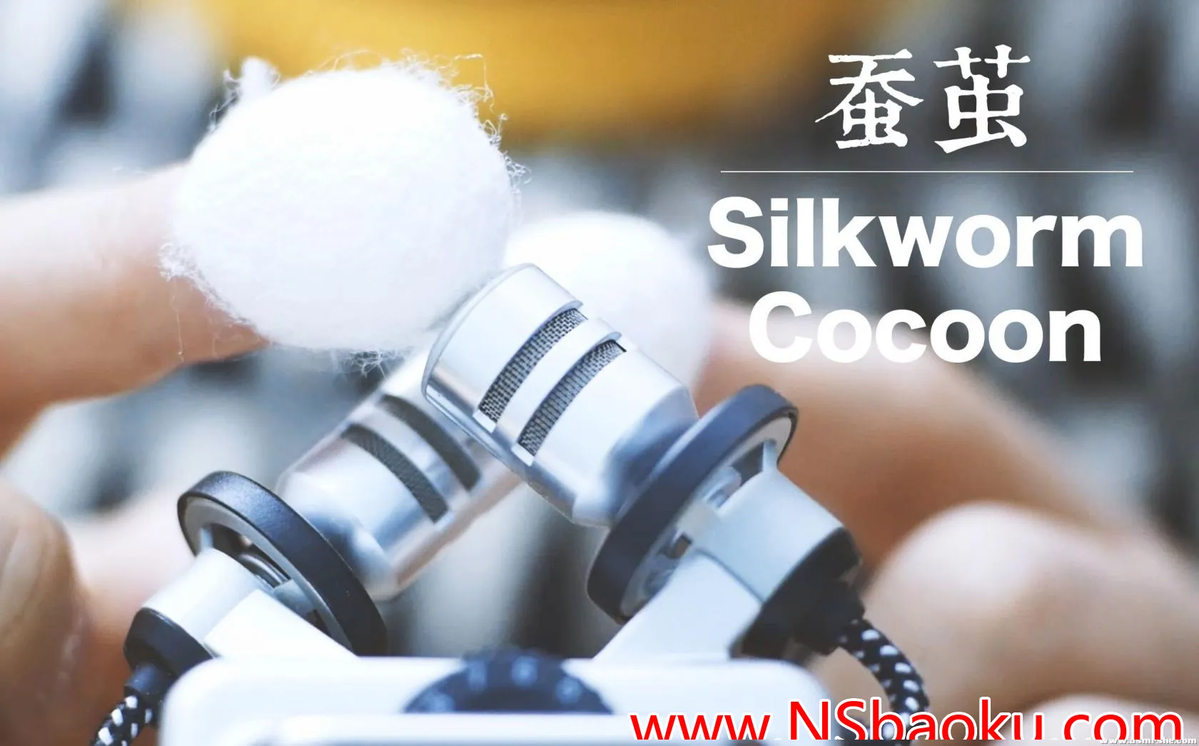 沉浸式 ASMR 宁静之旅 —— 蚕茧般包裹体验-男士宝库