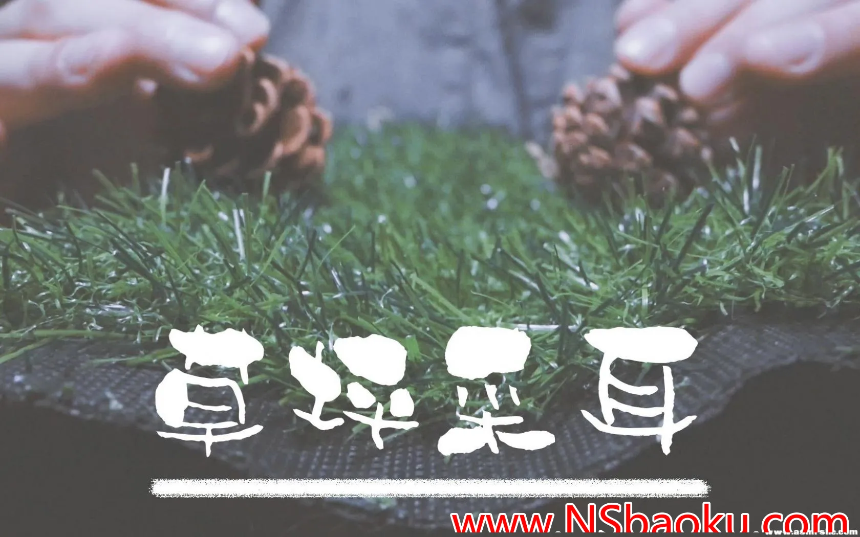 沉浸式足球草皮ASMR体验：极致放松与舒缓-男士宝库