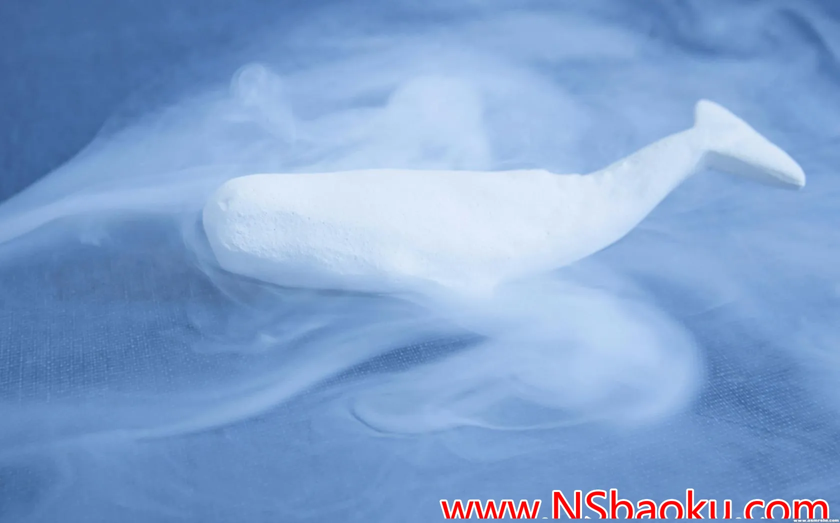 静谧的感官之旅 —— ASMR ComfortZoom | 《Alice》-男士宝库