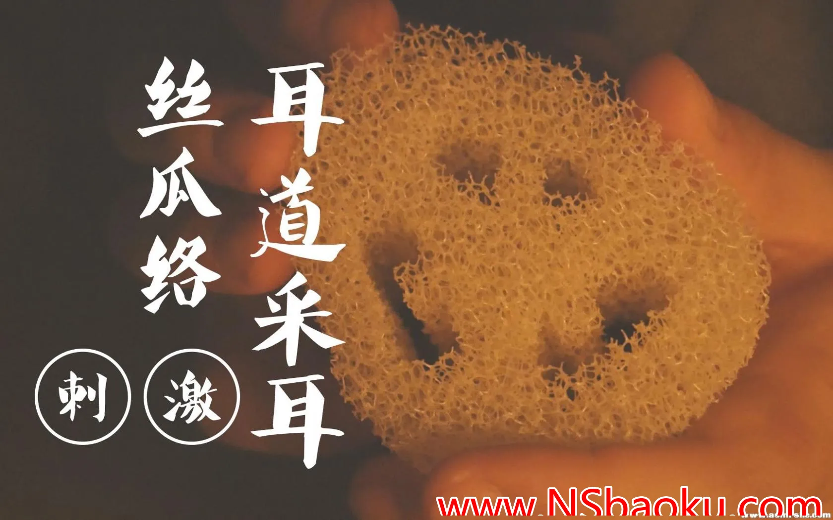 沉浸式丝瓜络采耳体验——深度放松与颅内高潮之旅-男士宝库