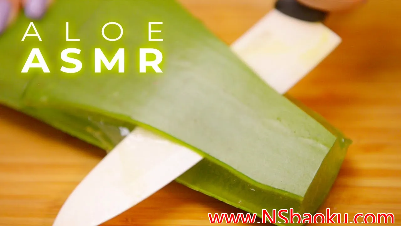 沉浸式芦荟声波助眠之旅