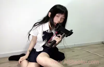 电子小狼 (5)