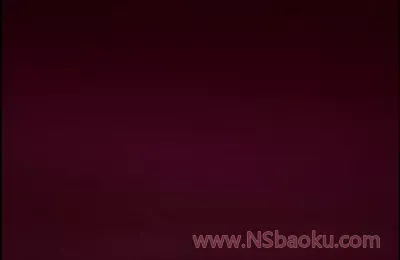 电子小狼 Vol.3-男士宝库