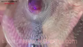 1m8的烤猫猫 | 玻璃瓶 版-男士宝库